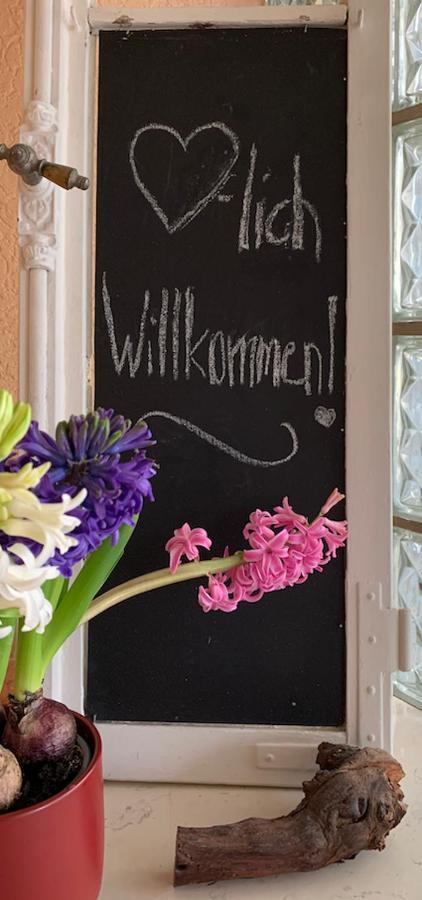 Ferienwohnung Birka 斯派尔 外观 照片